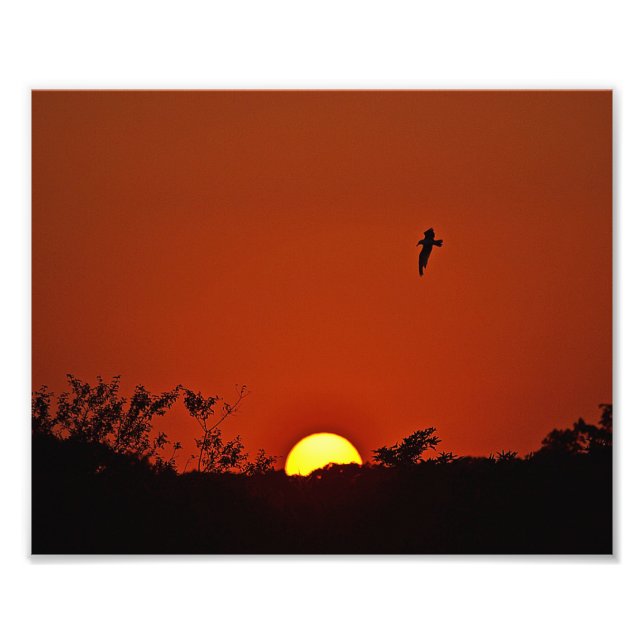 Sonnenuntergang über dem Marsh-Foto Fotodruck (Vorne)