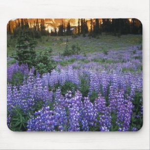 Sonnenuntergang über dem Mt. Adams und eine subalp Mousepad