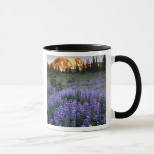 Sonnenuntergang über dem Mt. Adams und einer subal Tasse