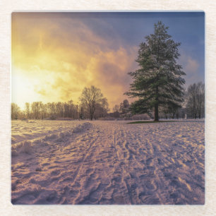 Sonnenuntergang über dem schneebedeckten Winterpar Glasuntersetzer
