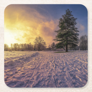 Sonnenuntergang über dem schneebedeckten Winterpar Rechteckiger Pappuntersetzer