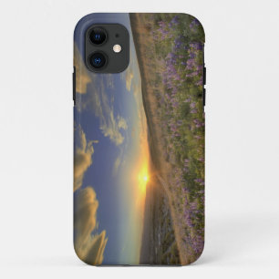 Sonnenuntergang über den Bitterroot Mountains und title_seo2