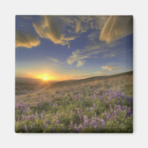 Sonnenuntergang über den Bitterroot Mountains und Magnet