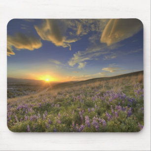 Sonnenuntergang über den Bitterroot Mountains und Mousepad