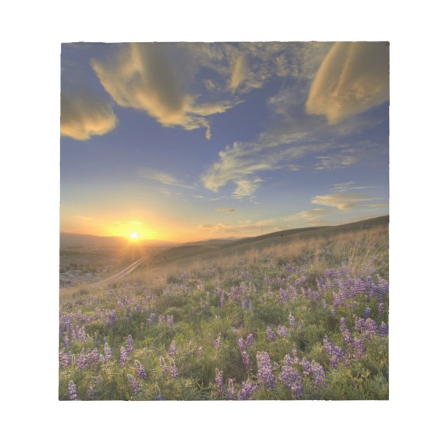 Sonnenuntergang über den Bitterroot Mountains und  Notizblock (Vorderseite)