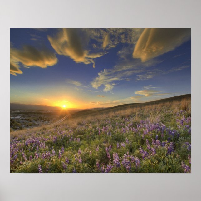 Sonnenuntergang über den Bitterroot Mountains und  Poster (Vorne)