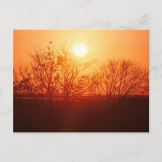 Sonnenuntergang über der Bayou Postkarte