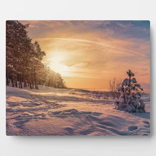 Sonnenuntergang über der schneebedeckten Winterküs Fotoplatte (Vorderseite)