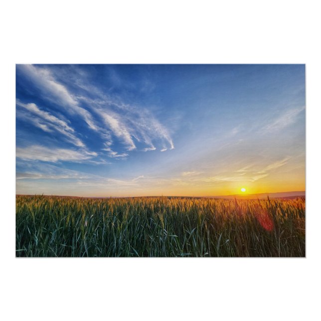 Sonnenuntergang über einem Feld Poster (Vorderseite)