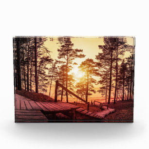 Sonnenuntergang über einem Holzweg im Kiefernwald Fotoblock