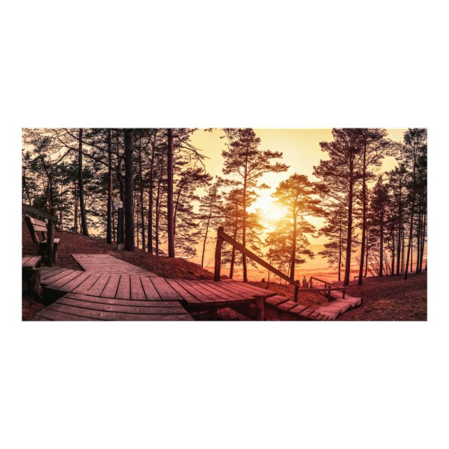 Sonnenuntergang über einem Holzweg im Kiefernwald Fotodruck (Vorne)