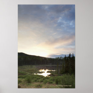 Sonnenuntergang über einem nebelhaften Teich Poster