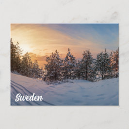 Sonnenuntergang über gefrorenem Schneewald in der  Postkarte