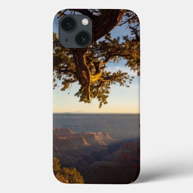 Sonnenuntergang über Grand Canyon Case-Mate iPhone Hülle (Rückseite)