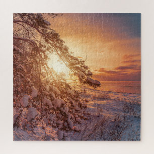 Sonnenuntergang über Meer und schneebedeckter Kief