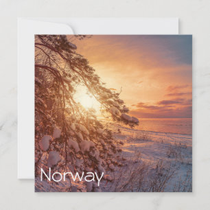Sonnenuntergang über Meer und schneebedeckter Kief