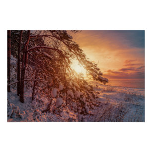 Sonnenuntergang über Meer und schneebedeckter Kief Poster