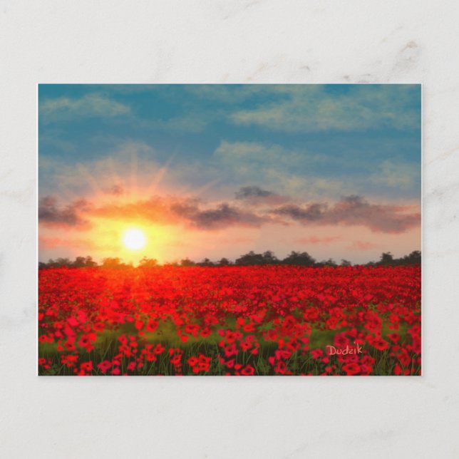 Sonnenuntergang über Mohnfeld JW Postkarte (Vorderseite)