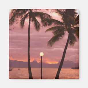 Sonnenuntergang über Moorea vom Sofitel Maeva Bea Magnet