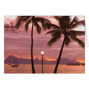 Sonnenuntergang über Moorea vom Sofitel Maeva Beac