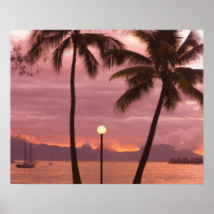 Sonnenuntergang über Moorea vom Sofitel Maeva Beac Poster