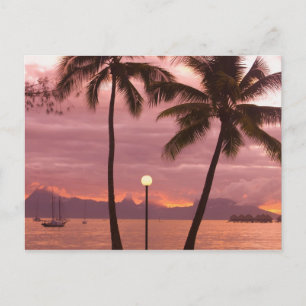 Sonnenuntergang über Moorea vom Sofitel Maeva Beac Postkarte