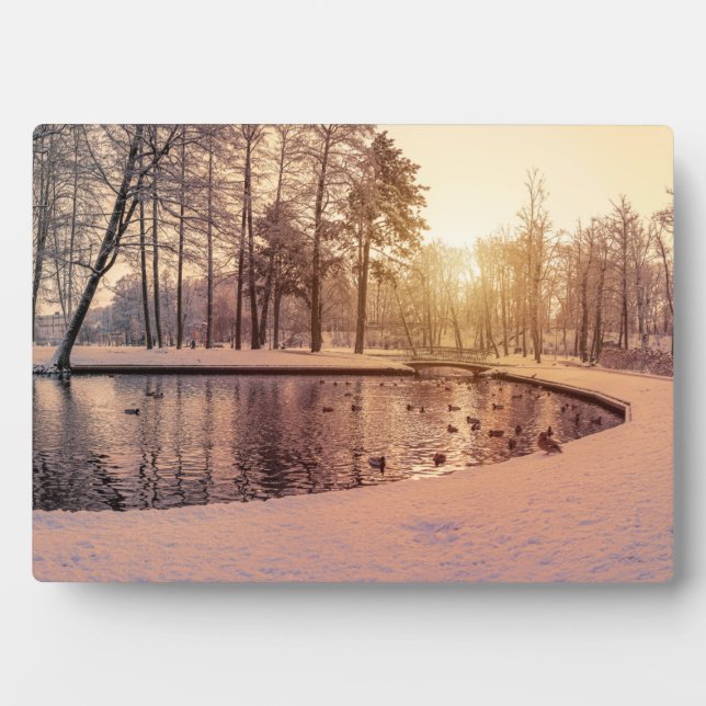 Sonnenuntergang über Park mit einem kleinen eisige Fotoplatte (Vorderseite)