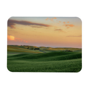 Sonnenuntergang über Staat der Weizen-Feld-  Magnet