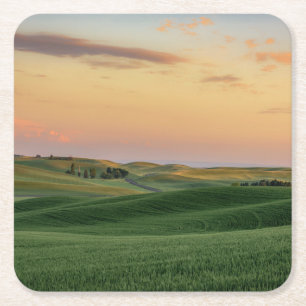 Sonnenuntergang über Staat der Weizen-Feld- Rechteckiger Pappuntersetzer