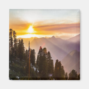 Sonnenuntergang über Wald Magnet