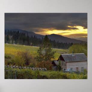 Sonnenuntergang über Weinbergen und historische Bl Poster
