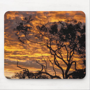 Sonnenuntergang, Uluru-Kata-Tjuta-Nationalpark, Mousepad