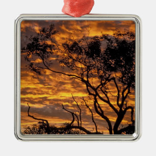 Sonnenuntergang, Uluru-Kata Tjuta Nationalpark, Silbernes Ornament