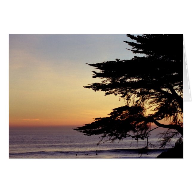 Sonnenuntergang und Baum, Santa Cruz (Karte) (Vorderseite (Horizontal))