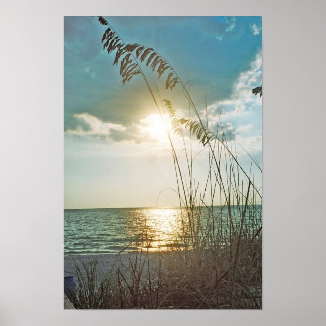 Sonnenuntergang und Meerestiere Poster (Vorne)