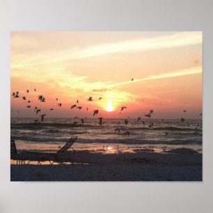 Sonnenuntergang und Möwen auf dem Wasser Poster