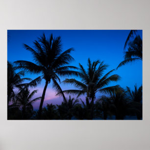 Sonnenuntergang und Palmen Poster