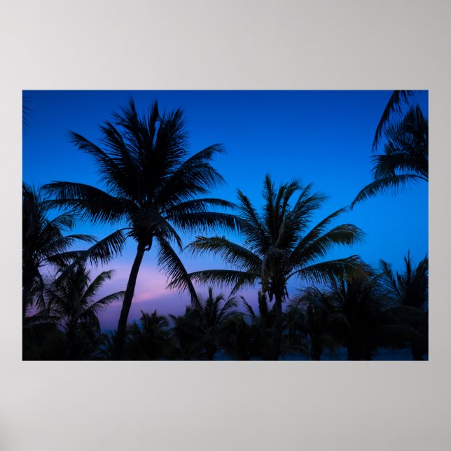 Sonnenuntergang und Palmen Poster (Vorne)