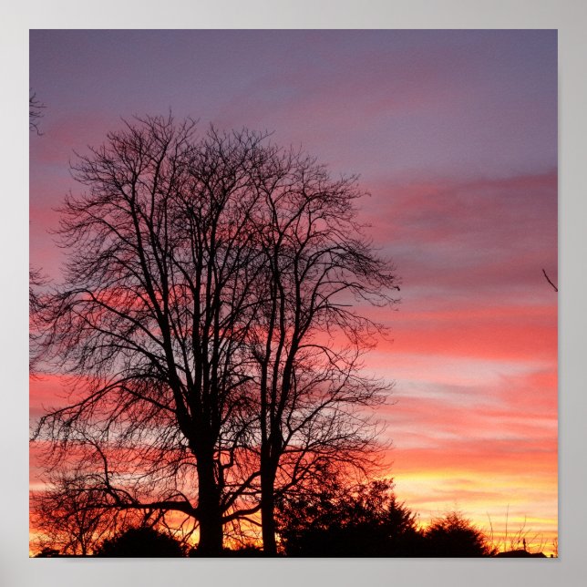 Sonnenuntergang und Silhouette Poster (Vorne)