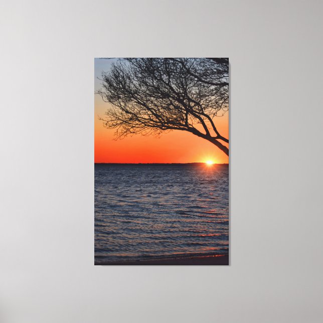Sonnenuntergang unter baumgebeutelten Canvas Leinwanddruck (Vorderseite)