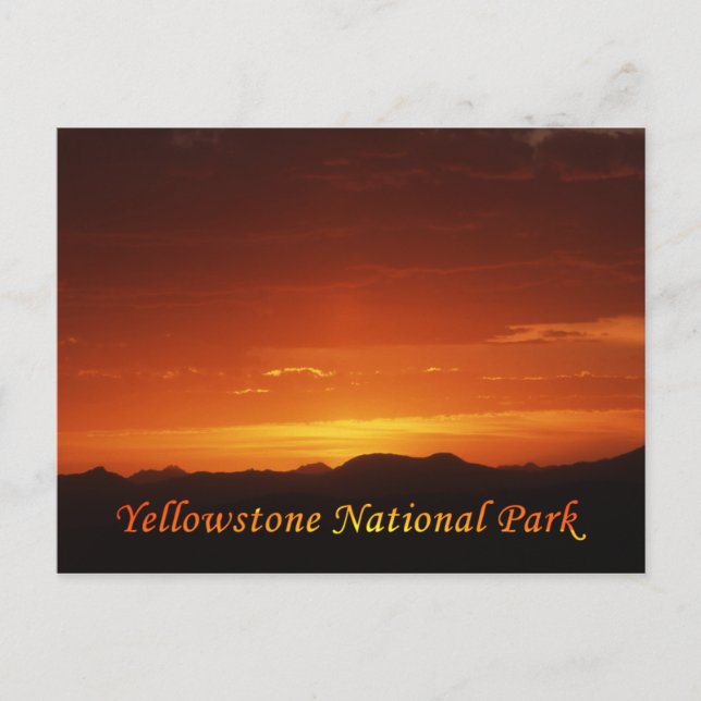 Sonnenuntergang vom Mt. Washburn Postkarte (Vorderseite)