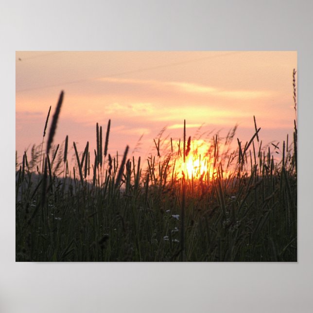 Sonnenuntergang - wahres Feld Poster (Vorne)