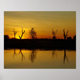 Sonnenuntergang, Yellow Water Billabong Poster