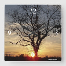 Sonnenuntergangbaumuhr