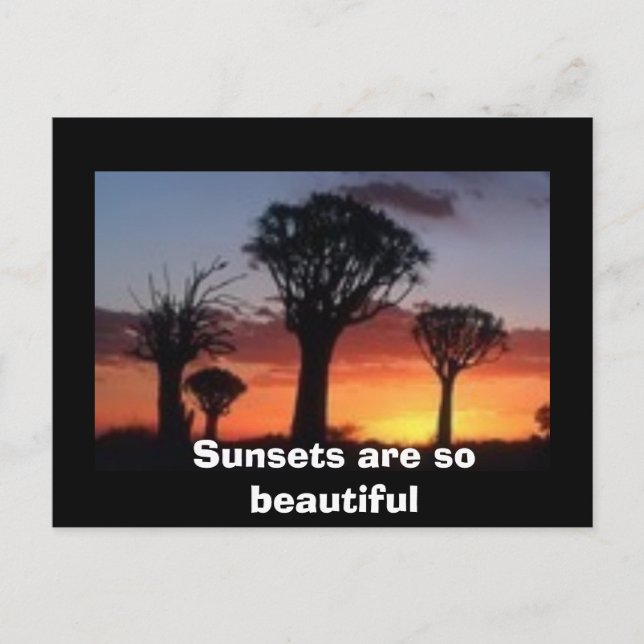 Sonnenuntergänge sind so schön postkarte (Vorderseite)