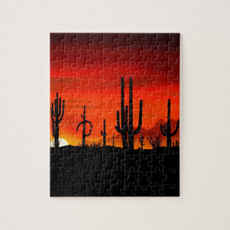 SonnenuntergangSaguaros Sonoran Wüste Arizona