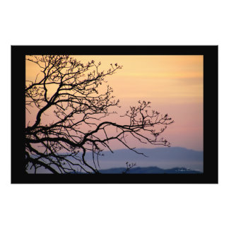 Sonnenuntergangsäste Silhouette von Sidharta Pascu Fotodruck