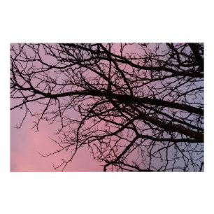 Sonnenuntergangsbaumzweige Fotografie Planetm13 Poster