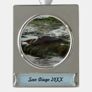 Sonnenuntergangsbeleuchtete Seehund II in San Dieg Banner-Ornament Silber