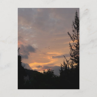 Sonnenuntergangsblick mit Vögeln, die über Bäume f Feiertagspostkarte